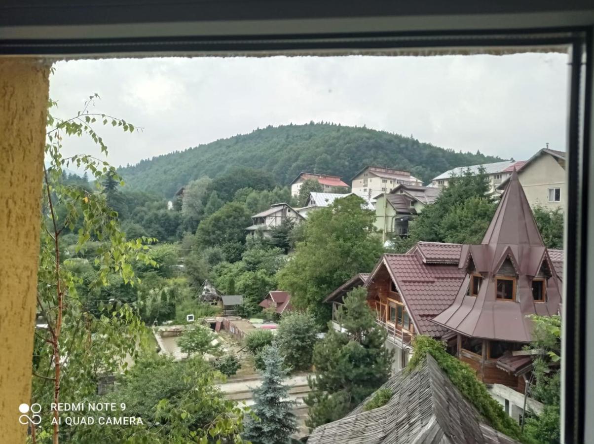 Pensiunea Lucy Sinaia Exterior photo